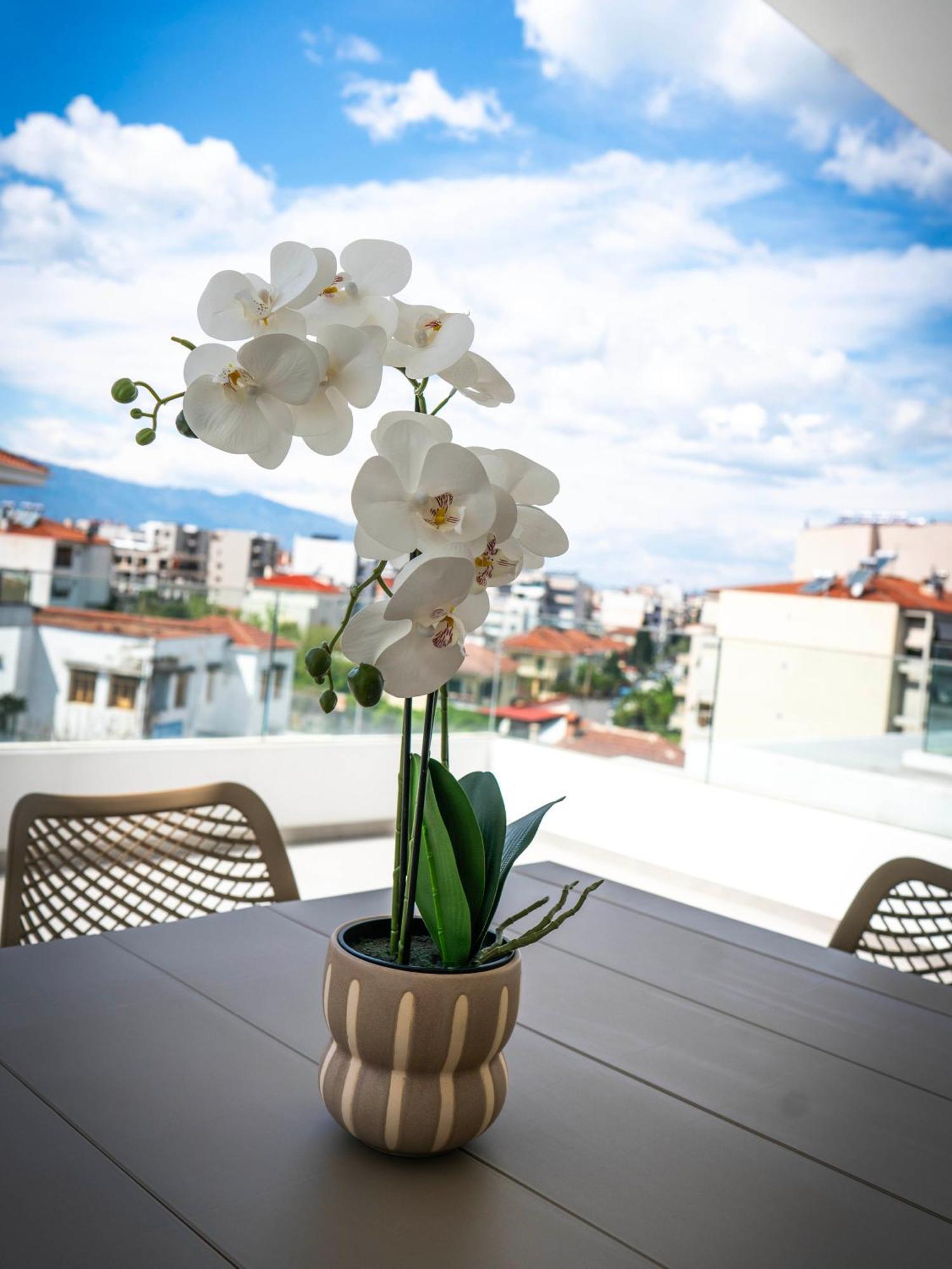 White Luxury Apartment Tríkala Exterior foto